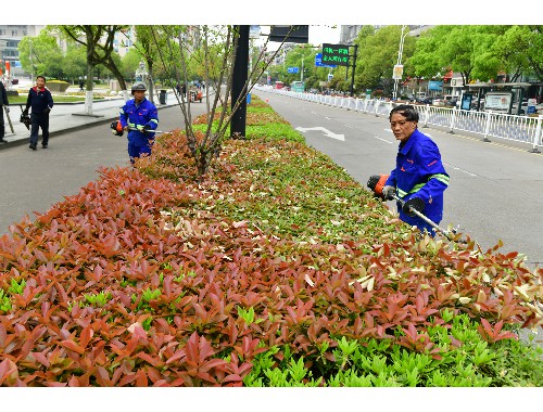 南阳绿化市容林业网